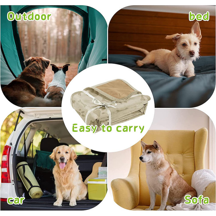 Outdoor dog hot sale blanket